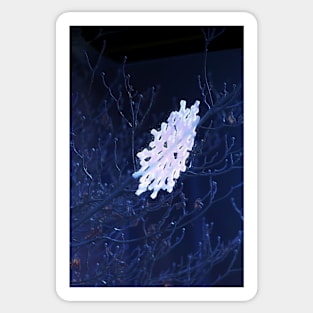 snowflake in blue 6 Sticker